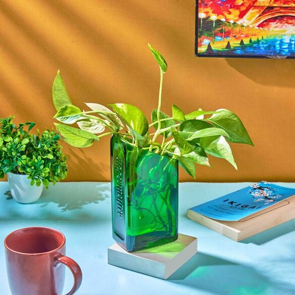 Jagermeister Bottle slant vase